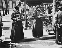 Roger-Viollet | 109299 | Bird market on the quai aux Fleurs. Paris (IVth arrondissement). Photograph by Paul Géniaux (1873-1914). Paris, musée Carnavalet. | © Paul Géniaux / Musée Carnavalet / Roger-Viollet