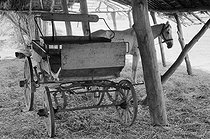 Roger-Viollet | 153746 | Dans la Mitidja, carriole avec cheval chez un colon. Algérie, 1958. Photographie de Jean Marquis (1926-2019). | © Jean Marquis / Roger-Viollet