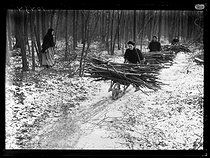 Roger-Viollet | 169724 | World War One. Women picking some deadwood in the forest during a coal shortage. L'Isle-Adam (France), early February 1917. Photograph published in the newspaper  Excelsior , on February 4, 1917. | © Excelsior - L'Equipe / Roger-Viollet