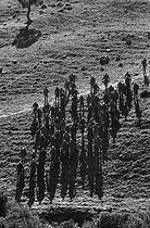 Roger-Viollet | 172023 | Soldiers of the National Liberation Army taking part in the reforestation campaign in the surroundings of Algiers (Algeria), 1967. Photograph by Jean Marquis (1926-2019). | © Jean Marquis / Roger-Viollet