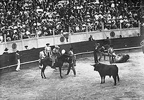 Roger-Viollet | 175704 | San Sebastian (Spain). Bullfight. Picador. | © CAP / Roger-Viollet