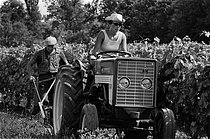 Roger-Viollet | 278506 | Wine grower driving her tractor. Charente (France), 1967. Photograph by Janine Niepce (1921-2007). | © Janine Niepce / Roger-Viollet