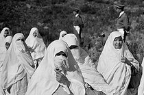 Roger-Viollet | 294130 | Group of veiled women during the reforestation campaign in the surroundings of Algiers (Algeria), 1967. Photographie de Jean Marquis (1926-2019). | © Jean Marquis / Roger-Viollet