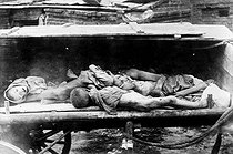 Roger-Viollet | 303051 | Enfants morts emmenés sur des charrettes pendant la famine en Russie dans les premières années de la Révolution, 1917. | © Albert Harlingue / Roger-Viollet