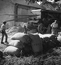 Roger-Viollet | 308751 | Wheat threshing in the Touraine region (France), August 1937. | © Pierre Jahan / Roger-Viollet