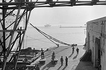 Roger-Viollet | 312587 | Harbour. Algiers (Algeria), December 1953. Photograph by Jean Marquis (1926-2019). | © Jean Marquis / Roger-Viollet