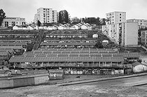 Roger-Viollet | 324830 |  Ravin de la femme sauvage , temporary buildings replacing the shanty town. Algiers (Algeria), 1967. Photograph by Jean Marquis (1926-2019). | © Jean Marquis / Roger-Viollet