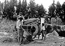 Roger-Viollet | 326836 | Battage primitif des céréales dans une petite ferme du Midi de la France. Nettoyage des grains au tarare. 1931. | © Jacques Boyer / Roger-Viollet