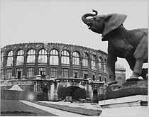 Roger-Viollet | 356343 | Demolition of the former Trocadéro palace. Statue of an elephant. Paris (XVIth arrondissement), circa 1936. Photograph by Jean Roubier (1896-1981). Bibliothèque historique de la Ville de Paris. | © Jean Roubier / BHVP / Roger-Viollet