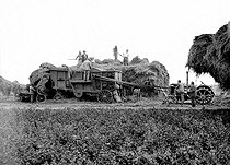 Roger-Viollet | 357284 | Threshing of wheat. Courpalay (Seine-et-Marne), around 1930. | © Albert Harlingue / Roger-Viollet