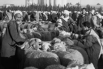 Roger-Viollet | 376703 | Sheep market. Oran (Algeria), 1967. Photograph by Jean Marquis (1926-2019). | © Jean Marquis / Roger-Viollet