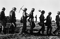 Roger-Viollet | 388501 | Soldiers of the National Liberation Army during the reforestation campaign in the surroundings of Algiers (Algeria), 1967. Photograph by Jean Marquis (1926-2019). | © Jean Marquis / Roger-Viollet