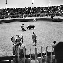 Roger-Viollet | 437671 | Méjanes (Bouches-du-Rhône). Bullfight, about 1960. | © Oswald Perrelle / Roger-Viollet