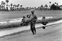 Roger-Viollet | 444241 | Soldier in charge of supplies in the ricefields near the front. Cambodia, 1974. | © Succession Demulder / Françoise Demulder / Roger-Viollet
