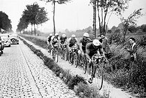 Roger-Viollet | 472394 | 1937 Tour de France. Six racing cyclists on the verge of the road to avoid the cobbled road of the Nord. Lille-Charleville stage. | © Jacques Boyer / Roger-Viollet