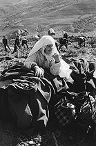 Roger-Viollet | 521177 | Woman keeping the clothes of volunteers taking part in the reforestation campaign in the surroundings of Algiers (Algeria), 1967. Photograph by Jean Marquis (1926-2019). | © Jean Marquis / Roger-Viollet