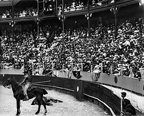 Roger-Viollet | 539434 | Bullfights in San Sebastian (Spain). A horse killed by the bull during a  Vara . 1900-1910. | © Neurdein / Roger-Viollet