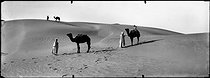 Roger-Viollet | 571104 | Sahara Desert, around 1900. | © Léon & Lévy / Roger-Viollet