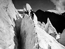 Roger-Viollet | 573906 | Ascent of iced pyramids at the Bossons Glacier, near Chamonix (Franceà. | © Neurdein / Roger-Viollet
