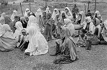 Roger-Viollet | 588196 | Transit camp. El Meridj (Algeria), 1958. Photograph by Jean Marquis (1926-2019). | © Jean Marquis / Roger-Viollet