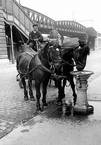 Roger-Viollet | 657649 | Drinking trough for horses. Paris, around 1900. | © Albert Harlingue / Roger-Viollet