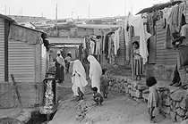 Roger-Viollet | 680546 | Clos Salembier shanty town. Algiers (Algeria), 1958. Photograph by Jean Marquis (1926-2019). | © Jean Marquis / Roger-Viollet