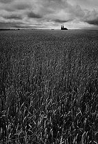 Roger-Viollet | 684860 | Wheatfield with a view of the Chartres cathedral (Beauce), 1961. Photograph by Janine Niepce (1921-2007). | © Janine Niepce / Roger-Viollet