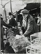 Roger-Viollet | 692261 | Bird market at the Ile de la Cité, place Louis Lépine. Paris (IVth arrondissement), 1932-1938. Photograph by Jean Roubier (1896-1981). Bibliothèque historique de la Ville de Paris. | © Jean Roubier / BHVP / Roger-Viollet