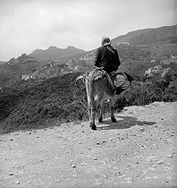 Roger-Viollet | 715941 | Woman riding her donkey near Rogliano (Corsica). | © Roger-Viollet / Roger-Viollet
