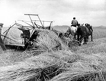 Roger-Viollet | 722901 | Combine harvester. France, 1941. | © LAPI / Roger-Viollet
