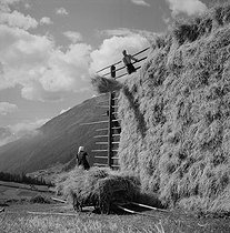 Roger-Viollet | 726916 | Wheat drying. Kals (oriental Tyrol, Austria), 1954. | © Roger-Viollet / Roger-Viollet