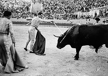 Roger-Viollet | 728141 | Bullfigh. Death of the bull. The  Descabello . Arles (Bouches-du-Rhônes). | © CAP / Roger-Viollet