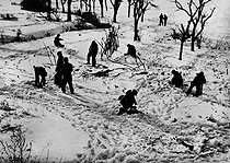 Roger-Viollet | 736493 | World War II. Front of Alsace, Winter 1944-1945. Laying of anti-tank mines by the US Army. | © Jacques Boyer / Roger-Viollet