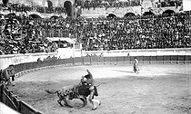 Roger-Viollet | 738734 | Nîmes (Gard). Bullfight. Putting on banderillas. | © Léon & Lévy / Roger-Viollet