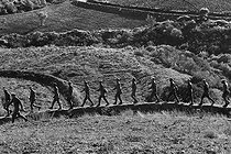 Roger-Viollet | 763873 | Soldiers of the National Liberation Army taking part in the reforestation campaign in the surroundings of Algiers (Algeria), 1967. Photograph by Jean Marquis (1926-2019). | © Jean Marquis / Roger-Viollet