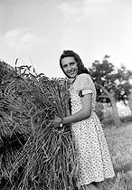 Roger-Viollet | 767140 | Young woman harvesting. France, August 1944. | © LAPI / Roger-Viollet