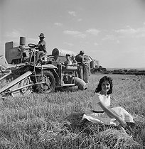 Roger-Viollet | 776443 | Jeune femme assise dans un champ de blé coupé pendant que les hommes et les enfants manipulent la moissonneuse. Charente (Poitou-Charente), années 1950. Photographie de Janine Niepce (1921-2007). | © Janine Niepce / Roger-Viollet