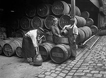 Roger-Viollet | 777618 | Wine decanting at the Bercy warehouse. Paris, circa 1905. | © Maurice-Louis Branger / Roger-Viollet