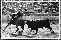 Roger-Viollet | 822272 | Conchita Cintrón (1922-2009), Peruvian torera, planting banderillas into a bull during a bullfight. | © Collection Roger-Viollet / Roger-Viollet