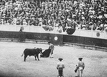 Roger-Viollet | 839854 | San Sebastian (Spain). Bullfight. Muleta pass. | © Roger-Viollet / Roger-Viollet
