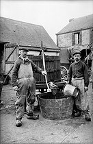 Roger-Viollet | 864300 | Cider press in Beauce region, France, around 1910. | © Neurdein / Roger-Viollet