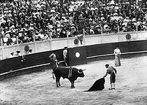 Roger-Viollet | 869961 | San Sebastian (Spain). Bullfight. Preparation of the kill. | © CAP / Roger-Viollet