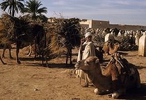 Roger-Viollet | 890439 | Nomad merchants from the desert. Touggourt (Algeria), 1953. Photograph by Jean Marquis (1926-2019). | © Jean Marquis / Roger-Viollet