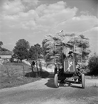 Roger-Viollet | 905244 | Coming back from the harvest. Charente (France), 1950's. Photograph by Janine Niepce (1921-2007). | © Janine Niepce / Roger-Viollet