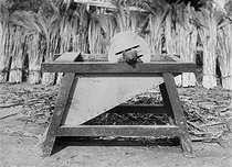 Roger-Viollet | 905976 | Battage du millet à la machine (le coffre enlevé pour montrer le tambour batteur) dans une grande ferme du Vaucluse, 1930. | © Jacques Boyer / Roger-Viollet