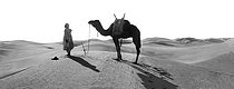Roger-Viollet | 906735 | Prayer in the Algerian Sahara desert. | © Léon & Lévy / Roger-Viollet