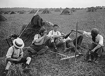 Roger-Viollet | 931087 | War - High school students working in the fields | © Maurice-Louis Branger / Roger-Viollet