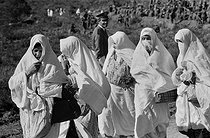 Roger-Viollet | 934133 | Group of veiled women during the reforestation campaign in the surroundings of Algiers (Algeria), 1967. Photograph by Jean Marquis (1926-2019). | © Jean Marquis / Roger-Viollet