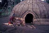 Afrique : Afrique Australe