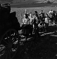 Roger-Viollet | 968608 | A happy escort follows the last cart during grape harvest. Photograph by Janine Niepce (1921-2007). | © Janine Niepce / Roger-Viollet